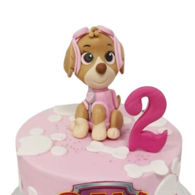 Skye- Paw patrol